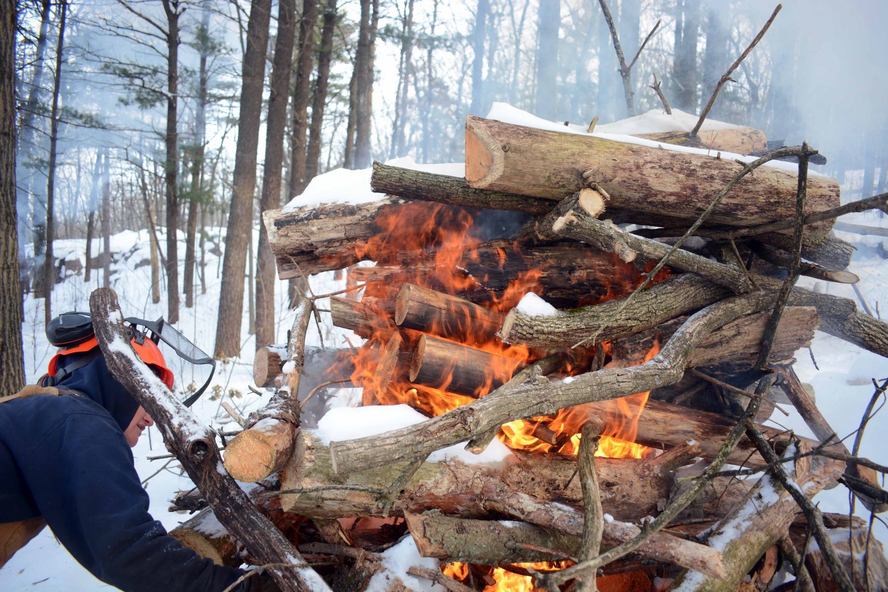 Devil's Lake east bluff stewardship work
